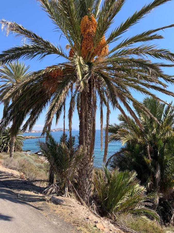 فيلا Casa Tranquila San Juan de los Terreros المظهر الخارجي الصورة